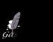 gastebuch_mb.gif