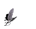 danke_mw.gif