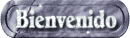 bienvenido_mw.gif