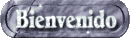 bienvenido_mc.gif