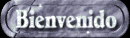 bienvenido_mb.gif