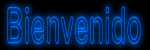 bienvenido_mb.gif