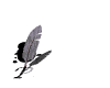 pedir_mw.gif