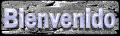 bienvenido_mb.gif