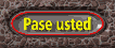 paseusted_mw.gif
