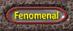 fenomenal_mw.gif
