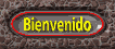 beinvenido_mw.gif