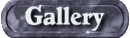 gallery_mc.gif
