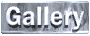 gallery_mc.gif