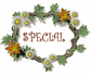 special_sw.gif