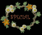special_sb.gif