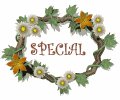 special_mw.gif