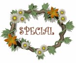 special_lw.gif