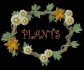plants_sb.gif