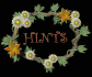 hints_sb.gif