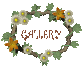 gallery_sc.gif