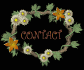 contact_sb.gif