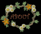 about_sb.gif