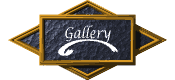 gallery_mw.gif