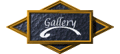 gallery_mc.gif