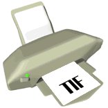 tif_lw.gif