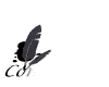 comments2_mw.gif