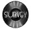 survey_sw.gif