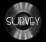 survey_mb.gif