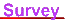 survey_mc.gif