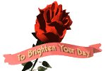 tobrightenyourday_mw.gif