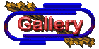 gallery_mc.gif