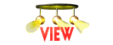 view_mw.gif