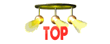 top_mw.gif