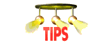 tips_mw.gif