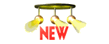 new1_mw.gif