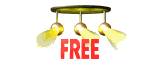 free_mw.gif