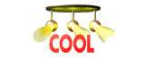 cool_mw.gif