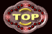 top_mb.gif