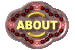 about_mc.gif