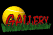 gallery_sb.gif