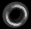 alignment_sb.gif