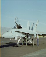 HORNET.GIF