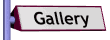 gallery_mw.gif