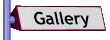 gallery_mc.gif