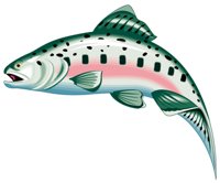 TROUT.TIF