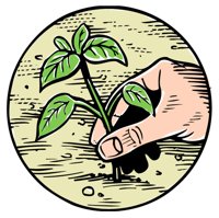PLANTING.TIF