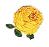 FLOWER.JPG