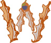 AL061023.WMF