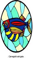 G0215335.WMF