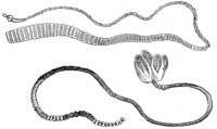 AAQ50067.JPG